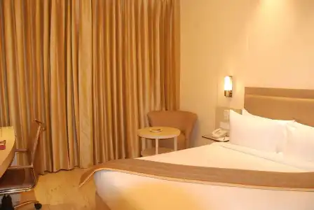 Sarovar Portico Naraina Delhi - 45