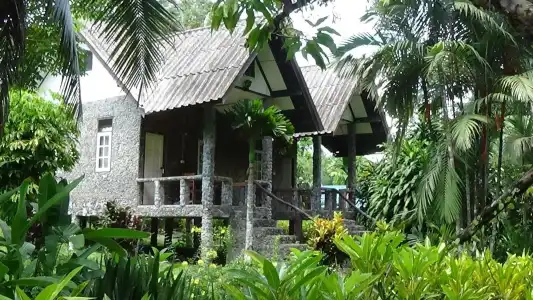 Tree Top River Huts - 37