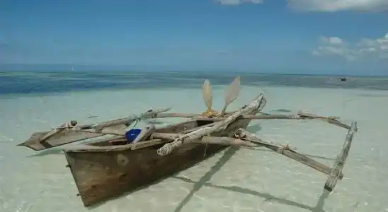 Simba Beach Zanzibar - 41