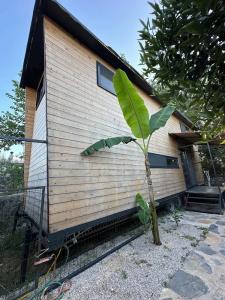 Bodrum Gaia Tiny Houses Butik - 47