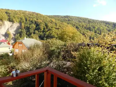 Sofia - 10