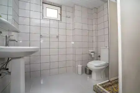 Carmen Suite - 9