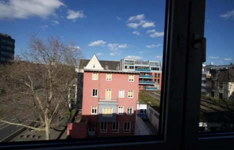 Merian - 12