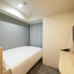 Sotetsu Fresa Inn Ueno Okachimachi - 22