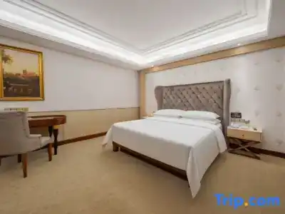 Vienna Dongguan Humen Wanda Plaza - 24