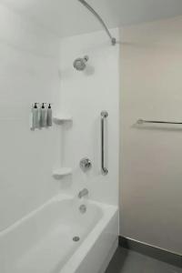 Courtyard Williamsburg Busch Gardens Area - 39