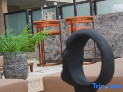 Radisson Blu Wuhan ETD Zone - 185