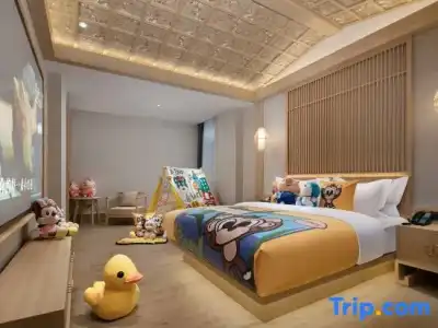 Hôtel Ibis Toulouse Purpan - 48