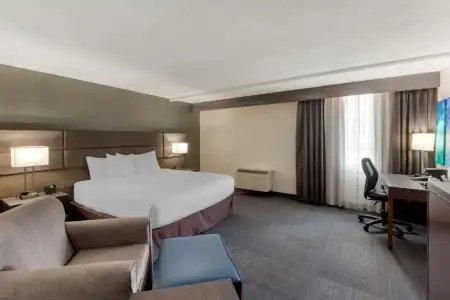 Best Western Plus Toronto Airport - 76