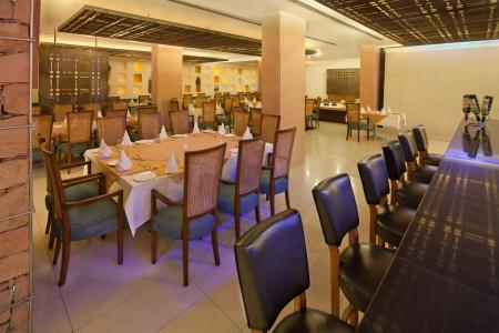 V Sarovar Portico MI Road - 18