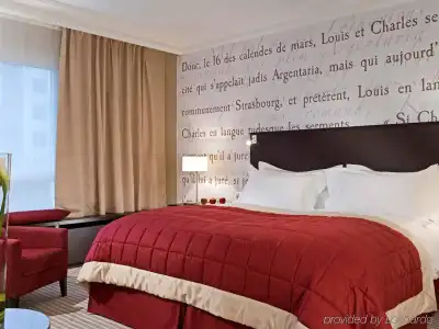 Sofitel Strasbourg Grande Ile - 49