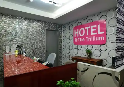 Trillium - 14