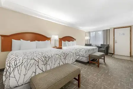 Best Western Plus Silver Saddle Inn - 4