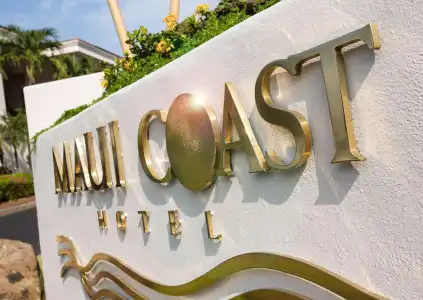 Maui Coast - 45