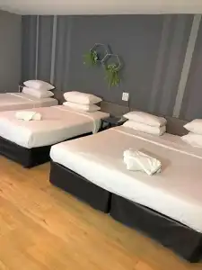 Paragon Inn - 55