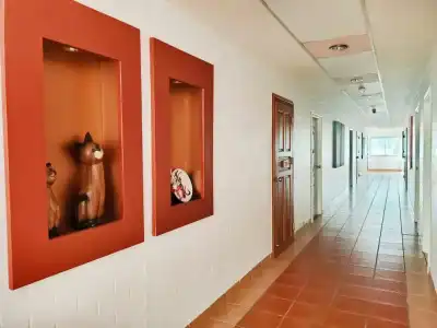 Grand Smile Wellness Resort - 13