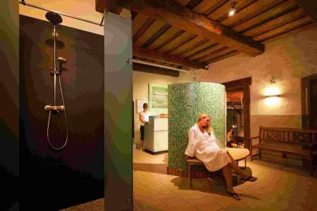 Spa Resort Landlust Dresden - 110