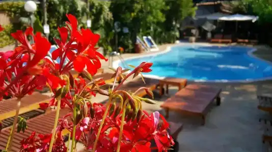 Villaggio Verde - 9