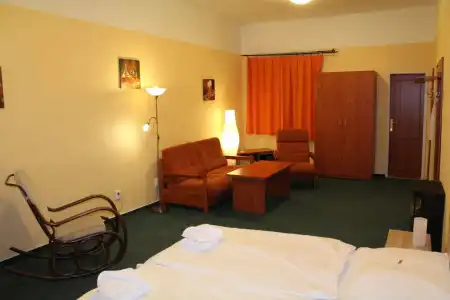 Záviš z Falkenštejna - 32