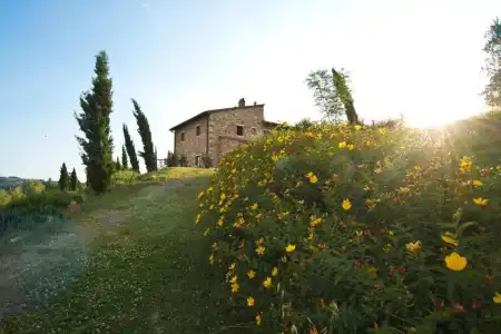 Agriturismo Podere Campaini - 72