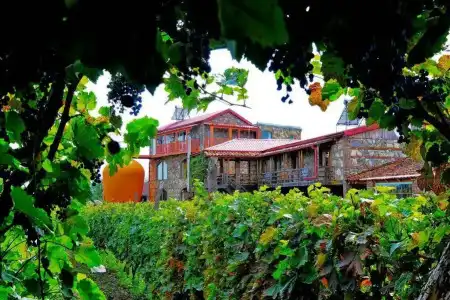 Twins Wine House - 20