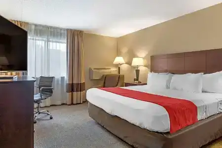 Comfort Inn Lansing West - 43