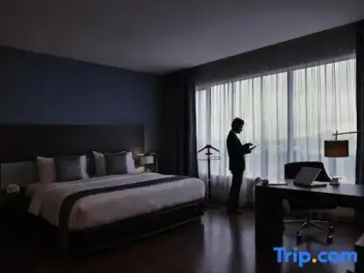 Pullman Kuching - 101