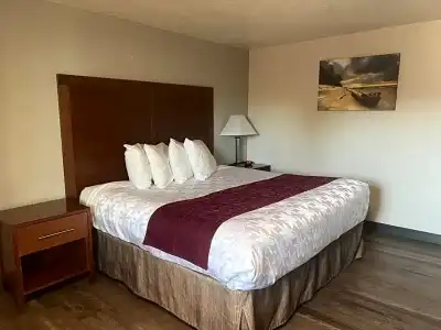 Red Carpet Inn Medford - 28