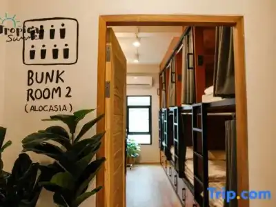 Tropical Summer Hostel - 46