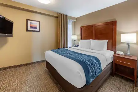 Comfort Inn & Suites Ventura Beach - 49