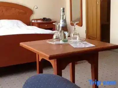 Tryp by Wyndham Kassel City Centre - 25