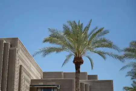 Arizona Biltmore, LXRs & Resorts - 36