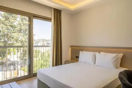 Olive Tree - 29