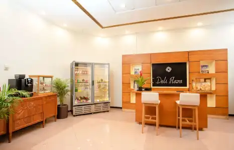 Guadalajara Plaza Expo Business Class - 15