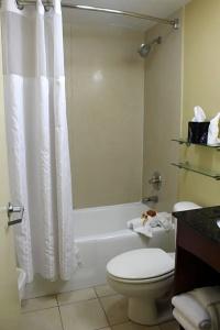 Plaza Resort & Spa - 15
