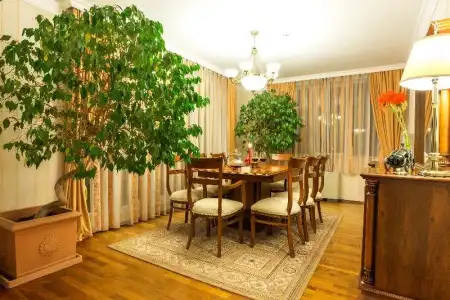 Romance & Family Suites - 42