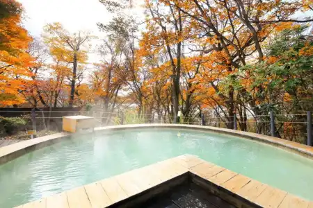 Shikisai - 2