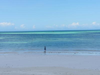 Uroa Bay Beach Resort - 10