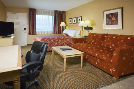 Stylish 1-Bedroom Suite with Modern Amenities - 6