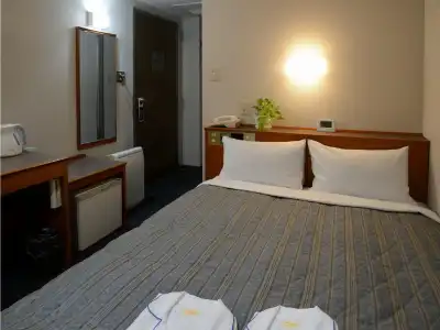 Fukuyama Station Inn - 15
