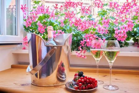 BoutiqueOberkirch im Zentrum - 148