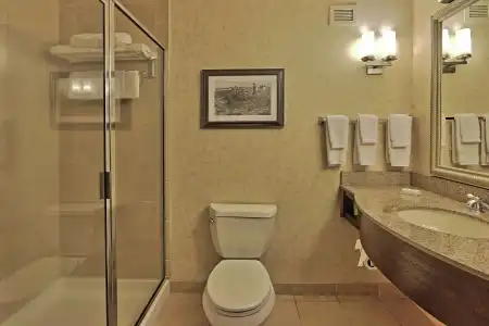 Hilton Garden Inn Las Cruces - 9