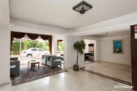 Surtel - 24