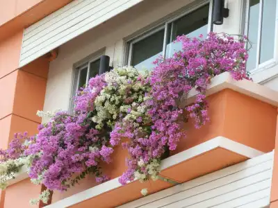 Sandy Serviced Apartment - 14