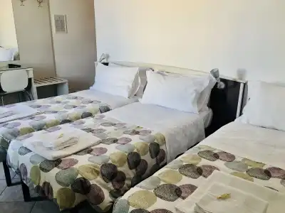 The Beehive Hostel - 3