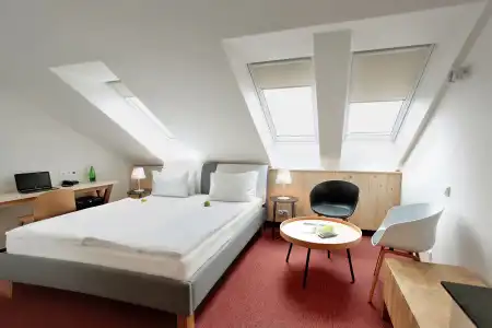 Absolutum Wellness - 1