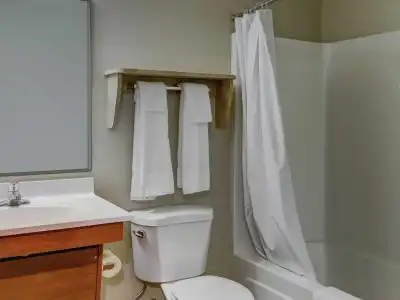 WoodSpring Suites Macon West I-475 - 25
