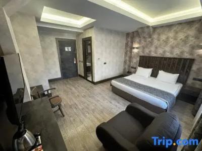 Ankara Royal - 67
