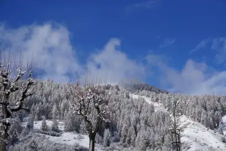 Typically Swiss Altana - 36