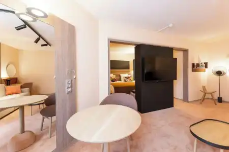 Mercure Grenoble Centre Porte des Alpes - 106